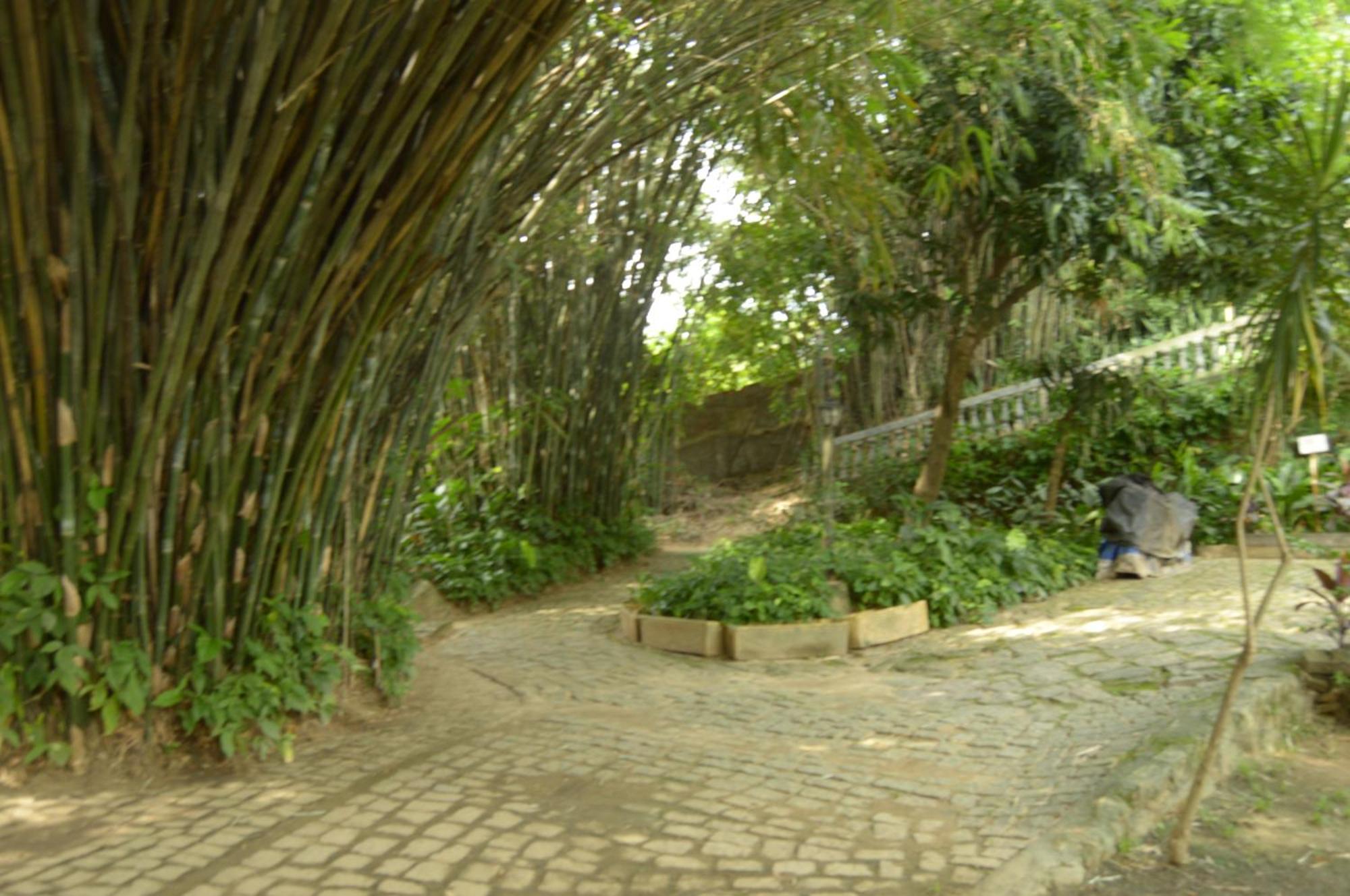 Rio Natureza Adaptado Apart 101 Rio de Janeiro Exteriör bild